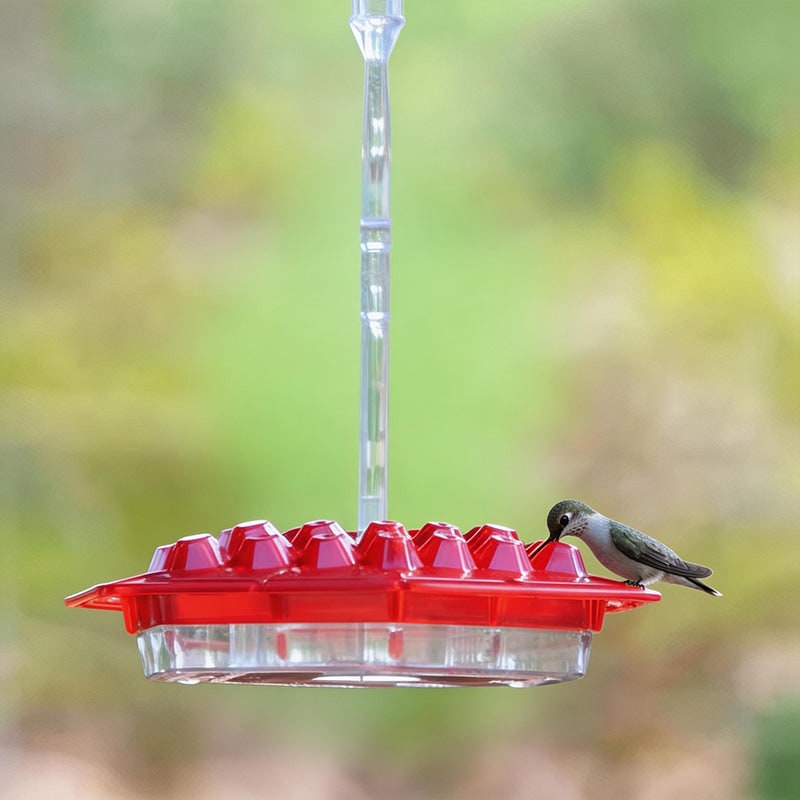 Hummingbird Feeder with Hexagonal Ports and Clear Plastic Hanging Design for Sugar Water - Image 1