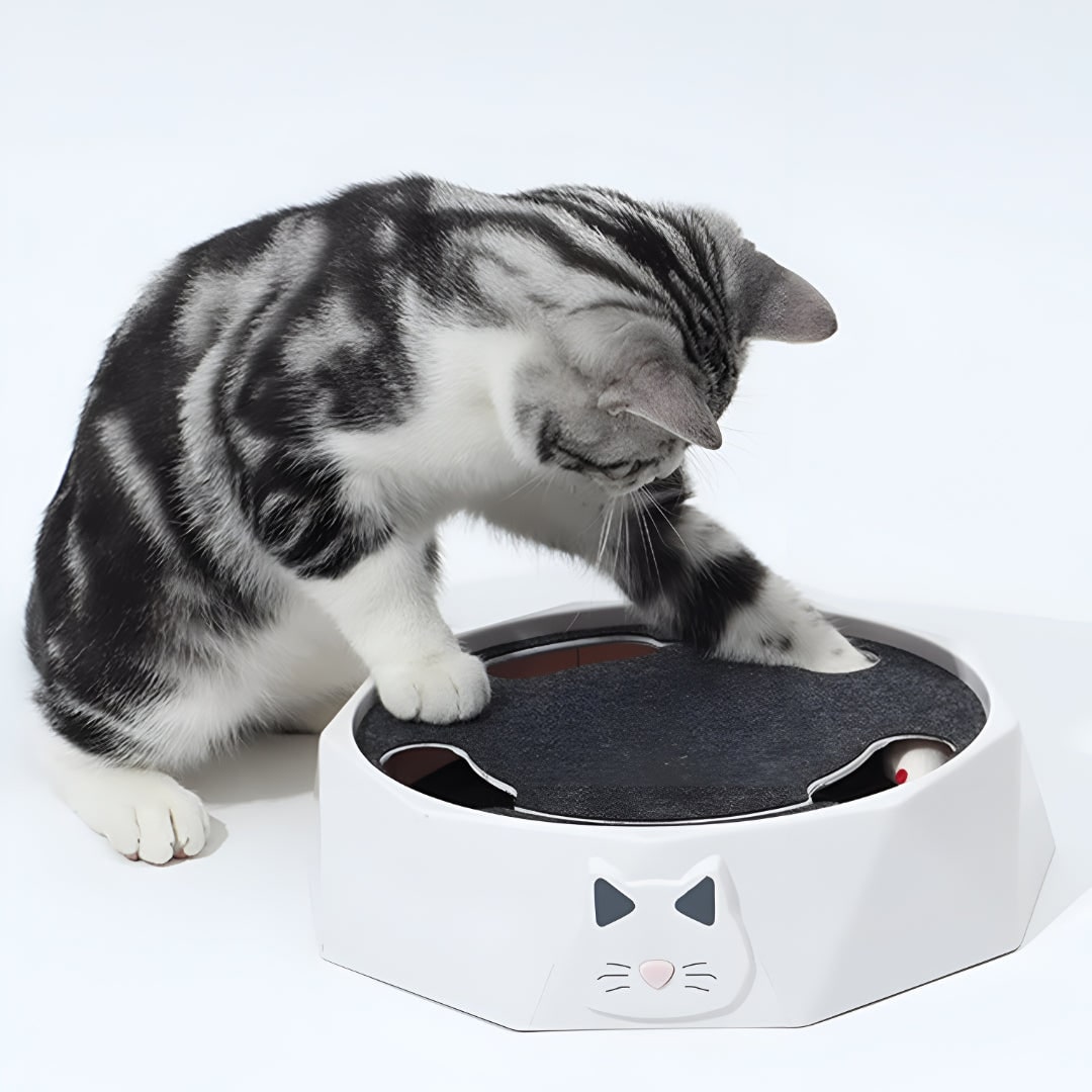 Interactive Cat Toy Moving Mouse Scratching Pad Track Octagonal Base Scratcher - Image 1
