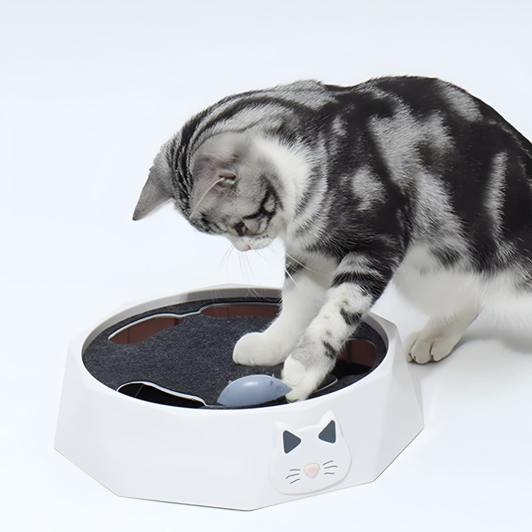 Interactive Cat Toy Moving Mouse Scratching Pad Track Octagonal Base Scratcher - Image 2