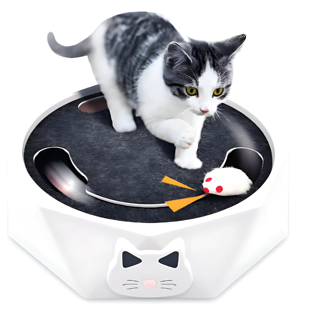 Interactive Cat Toy Moving Mouse Scratching Pad Track Octagonal Base Scratcher - Image 4