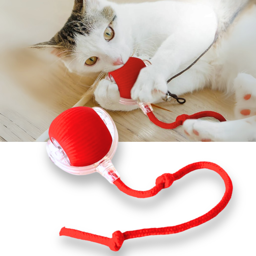 Interactive Cat Toys Ball with Rope Tail and Automatic Rolling Motion - Image 1