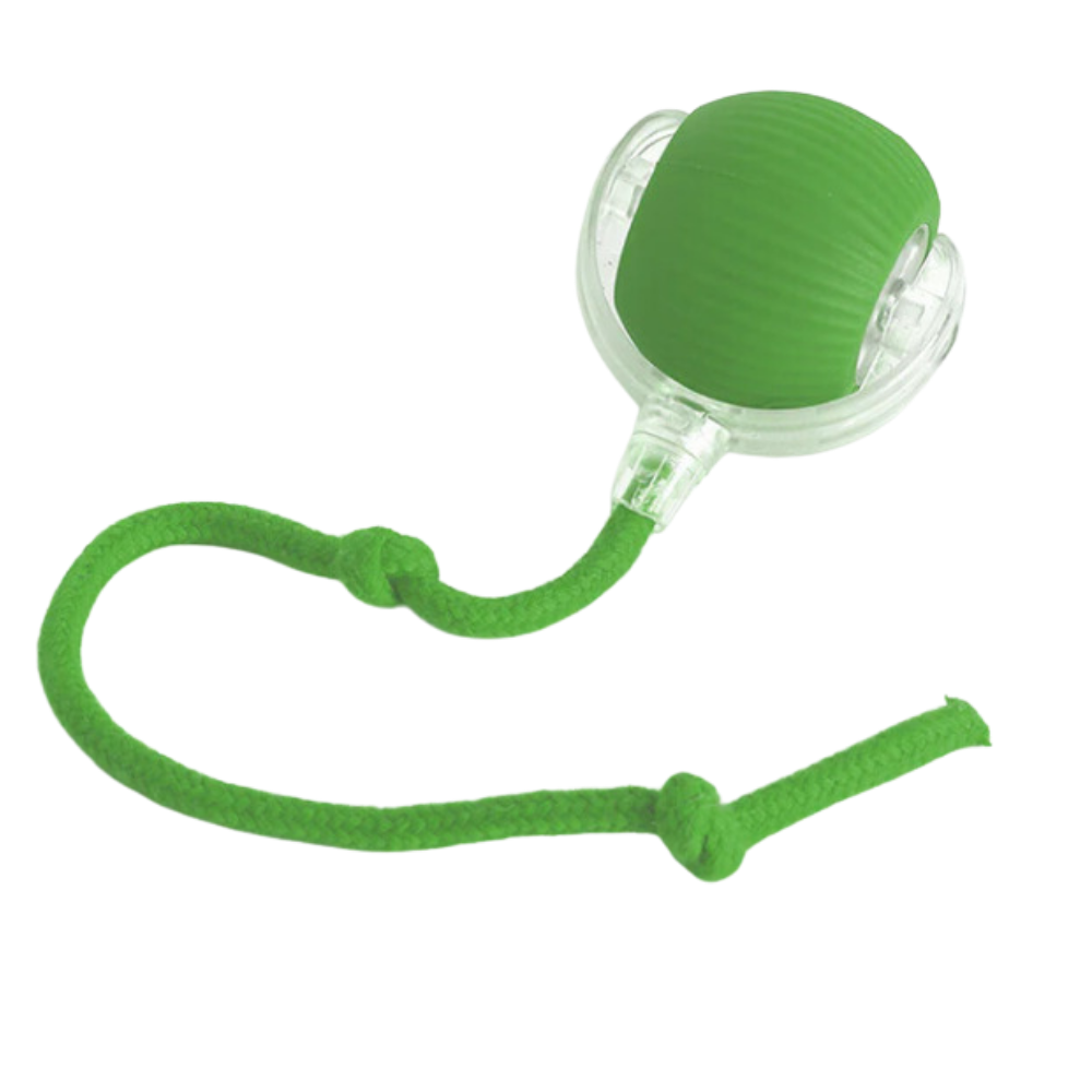 Interactive Cat Toys Ball with Rope Tail and Automatic Rolling Motion - Image 11