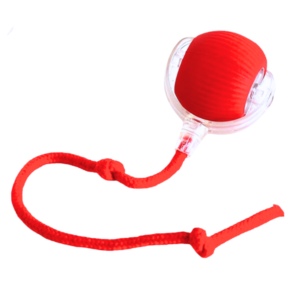 Interactive Cat Toys Ball with Rope Tail and Automatic Rolling Motion - Image 2