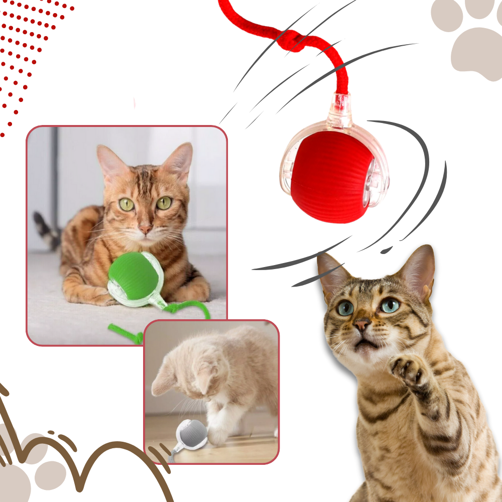 Interactive Cat Toys Ball with Rope Tail and Automatic Rolling Motion - Image 3