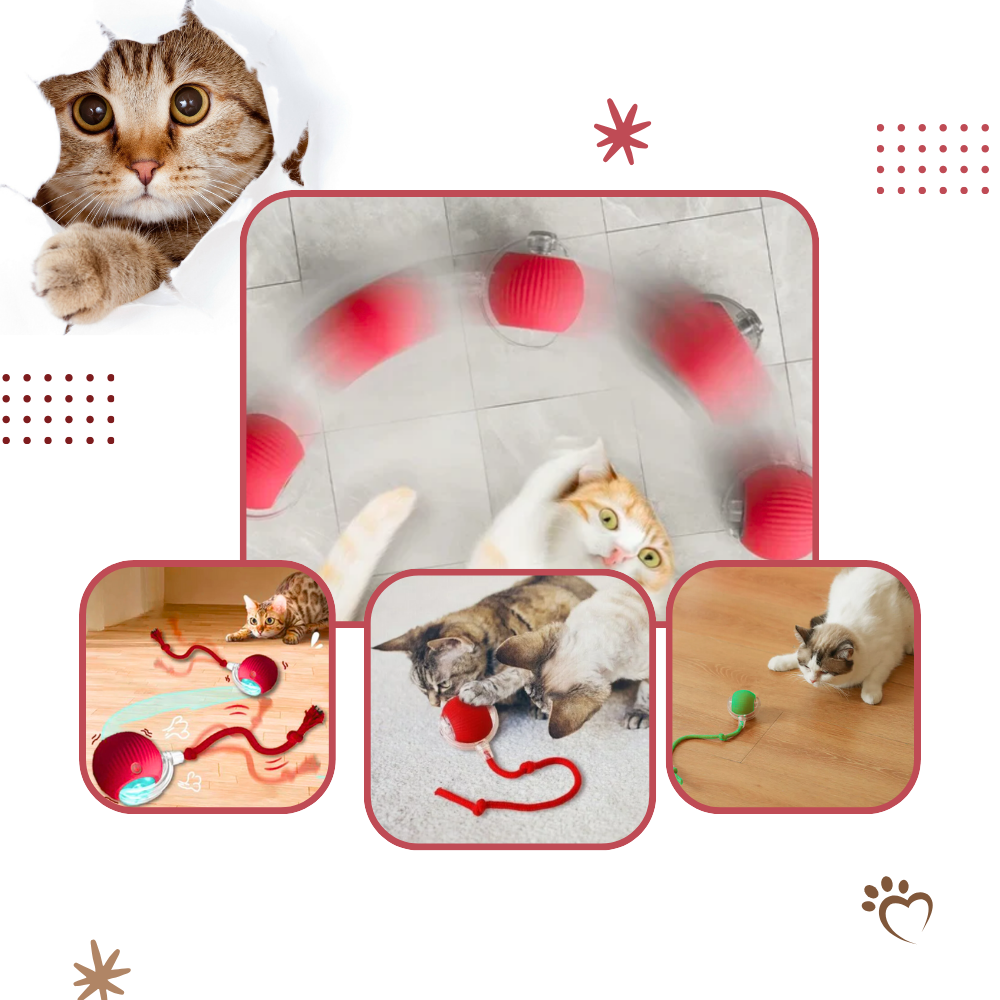 Interactive Cat Toys Ball with Rope Tail and Automatic Rolling Motion - Image 4
