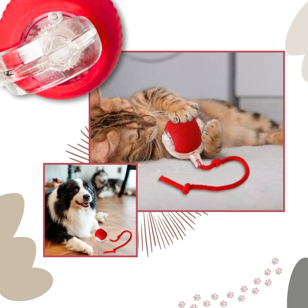 Interactive Cat Toys Ball with Rope Tail and Automatic Rolling Motion - Image 5