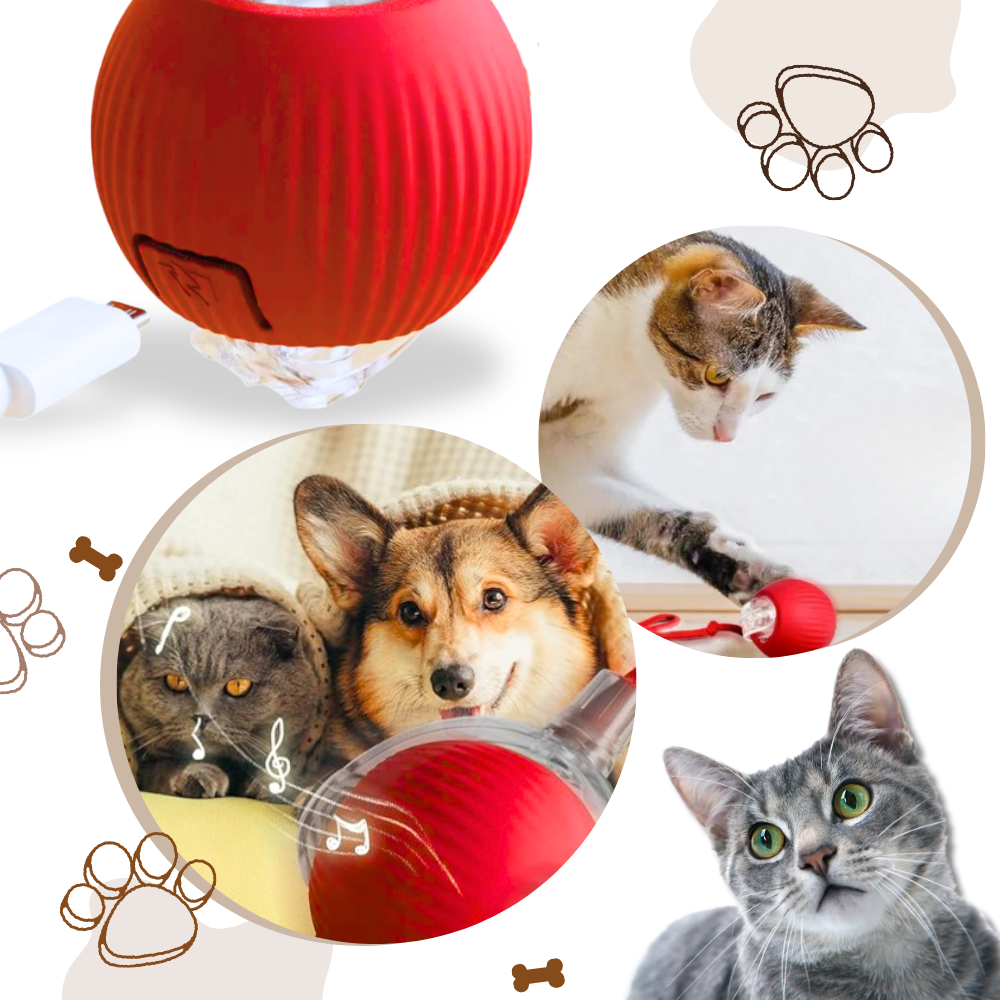 Interactive Cat Toys Ball with Rope Tail and Automatic Rolling Motion - Image 6