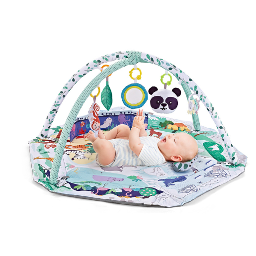 Kids' Baby Play Mat and Gym with Infant Activity Arches Detachable Toys and Tummy Time Pillow - Image 1