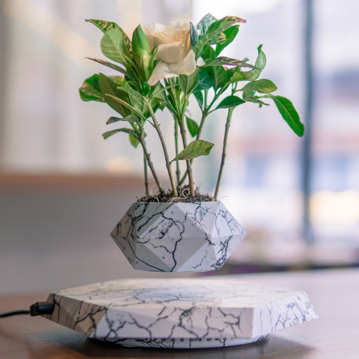 Kids' Levitating Plant Pot with Magnetic Floating Planter and 360-Degree Rotation Ceramic - Image 1
