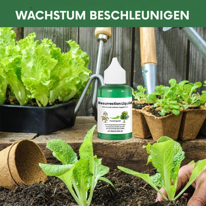 Liquid Fertilizer for Plants and Indoor Food with Dropper Bottle for House Tomato - Image 1