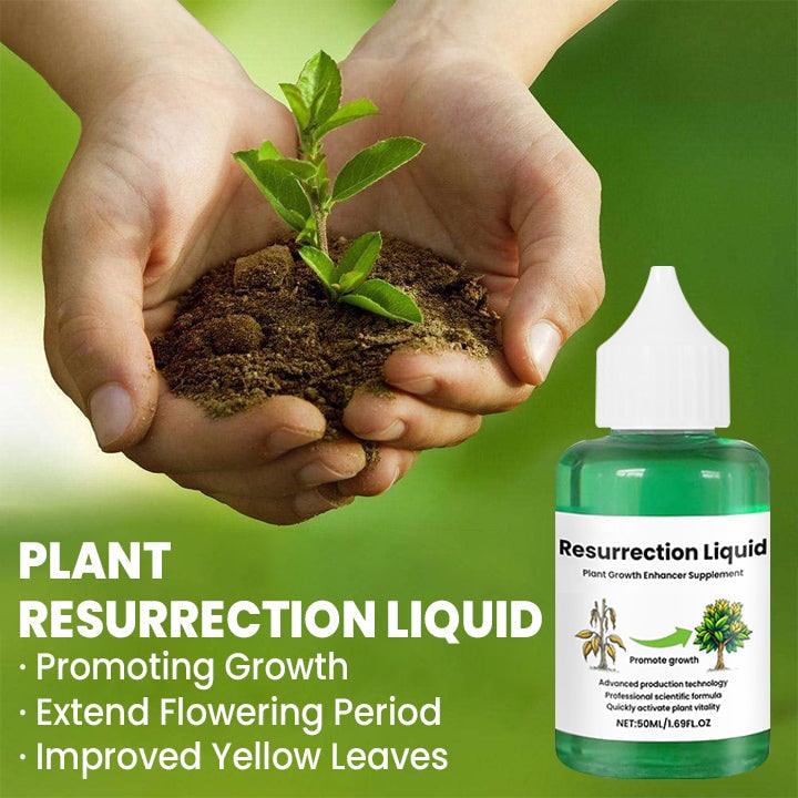 Liquid Fertilizer for Plants and Indoor Food with Dropper Bottle for House Tomato - Image 4