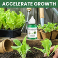Liquid Fertilizer for Plants and Indoor Food with Dropper Bottle for House Tomato - Image 7