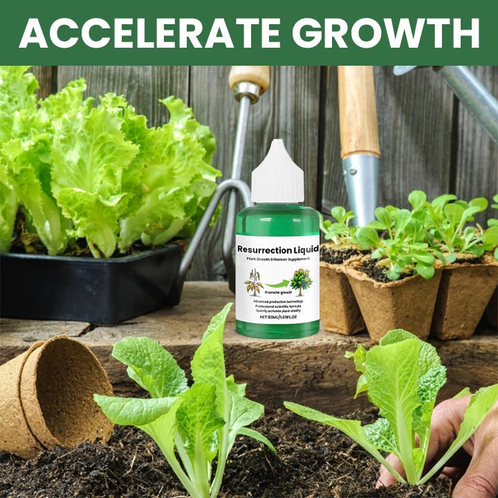 Liquid Fertilizer for Plants and Indoor Food with Dropper Bottle for House Tomato - Image 7