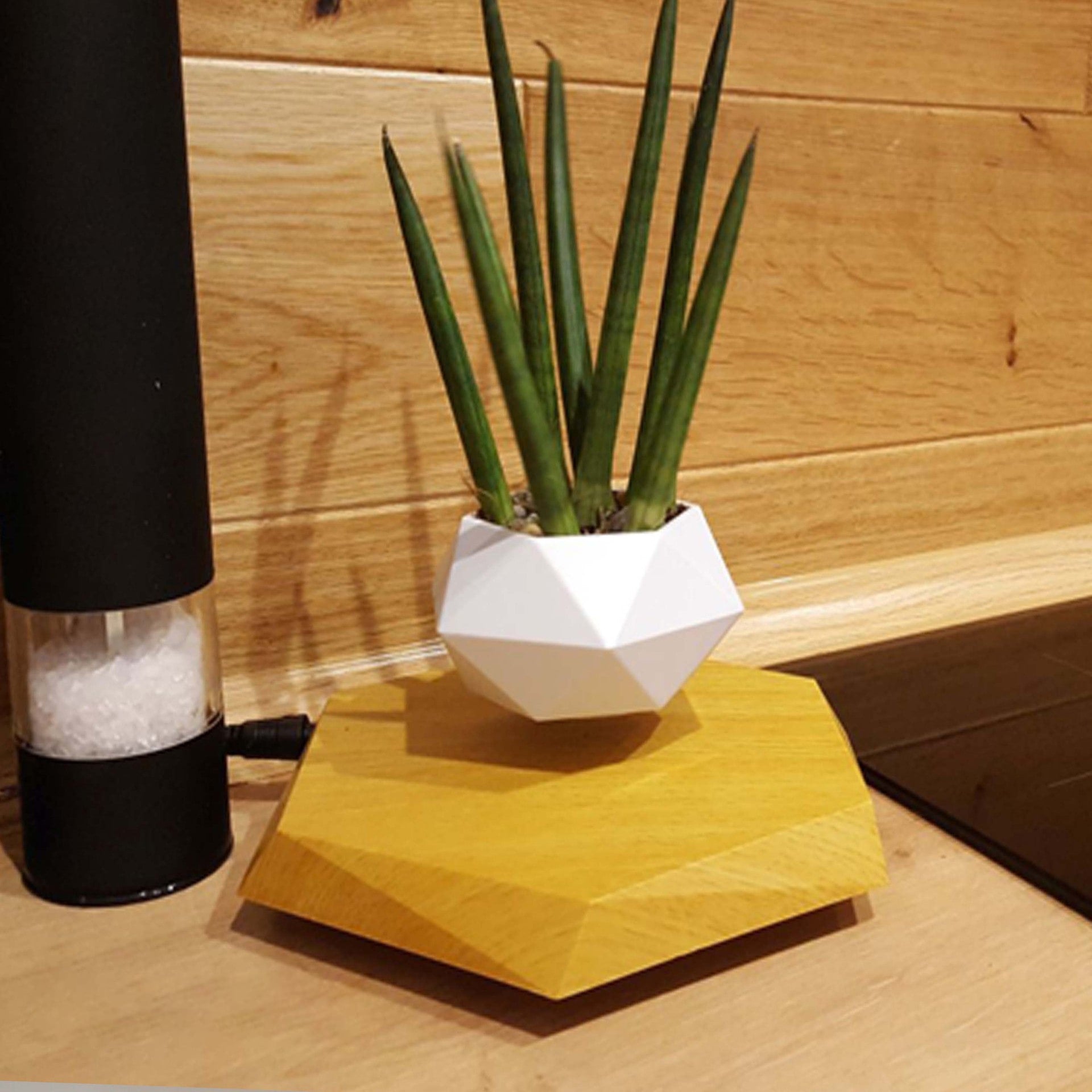 Magnetic Levitating Planter with Geometric Hexagonal Base for Tabletop Display - Image 1