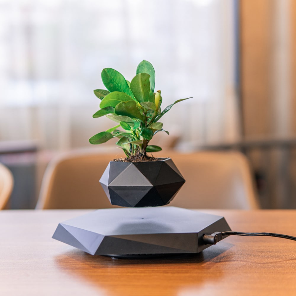 Magnetic Levitating Planter with Geometric Hexagonal Base for Tabletop Display - Image 7