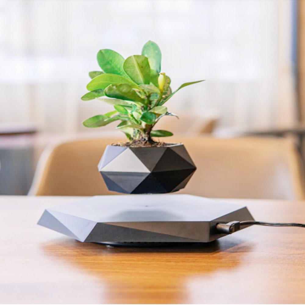 Magnetic Levitating Planter with Geometric Hexagonal Base for Tabletop Display - Image 8