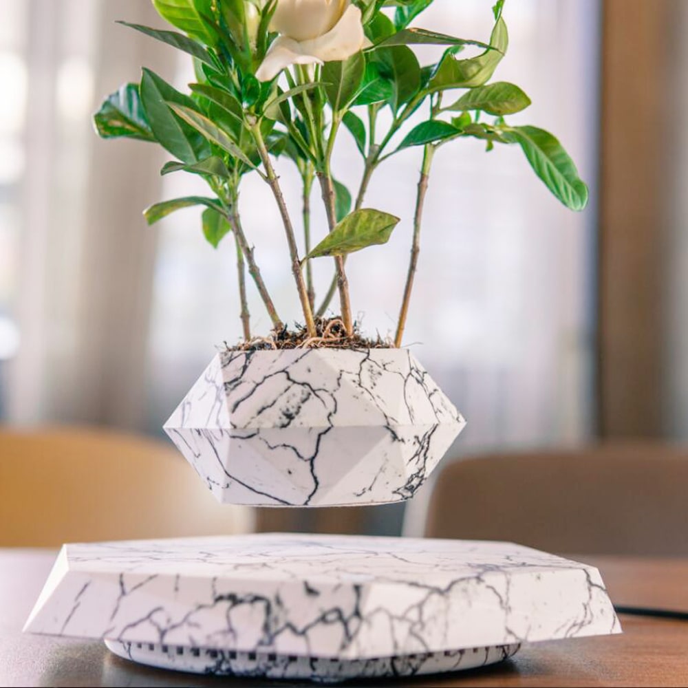 Magnetic Levitating Planter with Geometric Hexagonal Base for Tabletop Display - Image 9