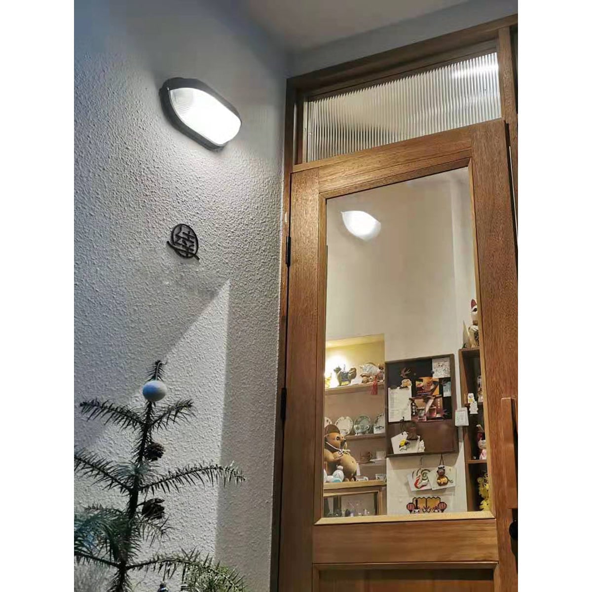 Oval Bulkhead Wall Light with Weather-Resistant Eyelid Cover and Ribbed Glass Diffuser - Image 16