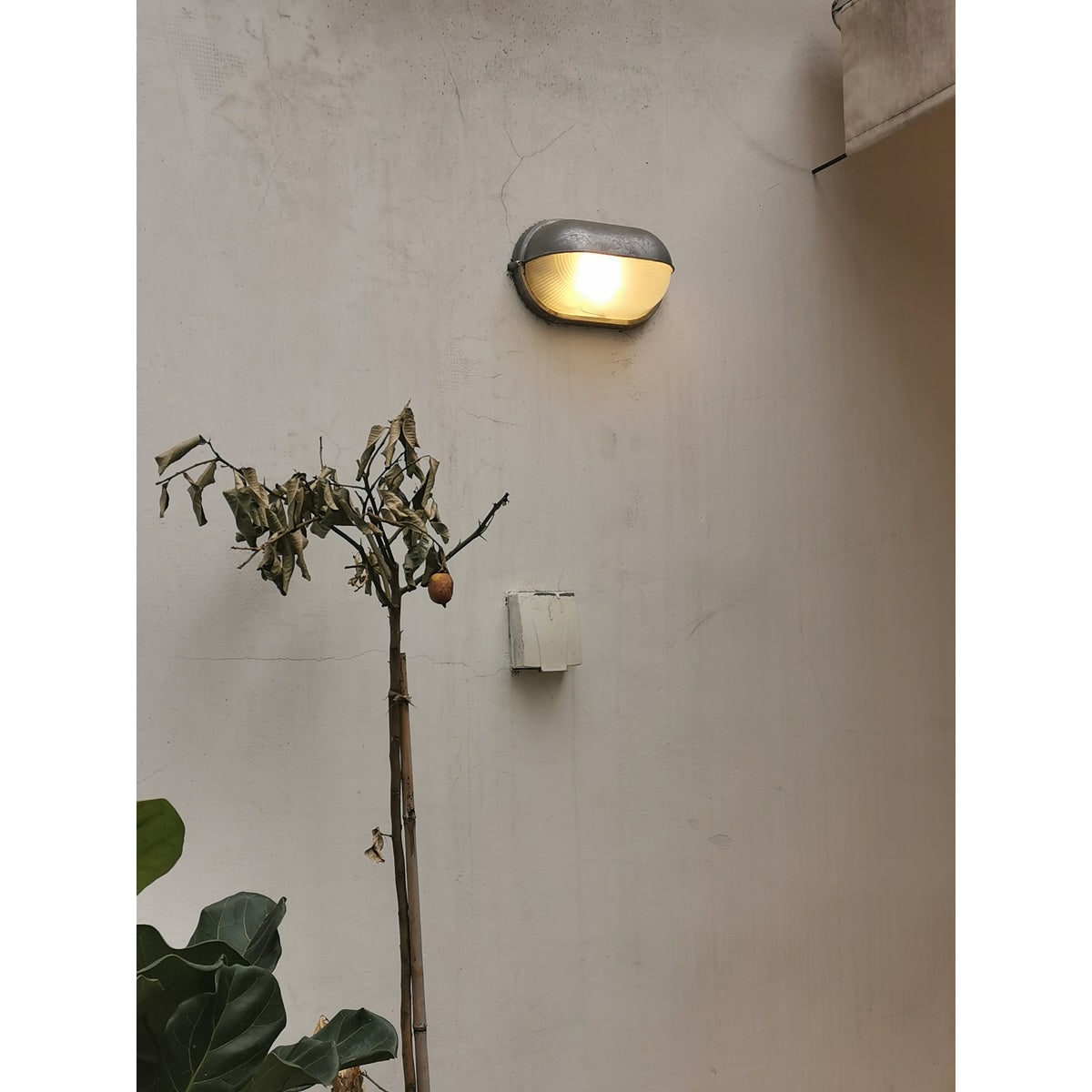 Oval Bulkhead Wall Light with Weather-Resistant Eyelid Cover and Ribbed Glass Diffuser - Image 17