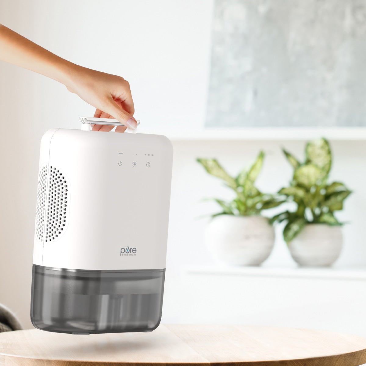 Portable Dehumidifier for Basement and Crawl Space with Drain Hose and 2-Speed Fan - Image 5