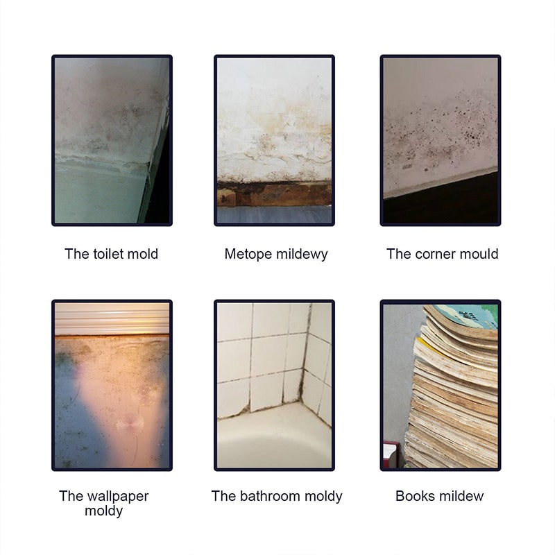 Professional Mold and Mildew Remover Spray with Fast-Acting Foam for Stain Removal Killer - Image 3