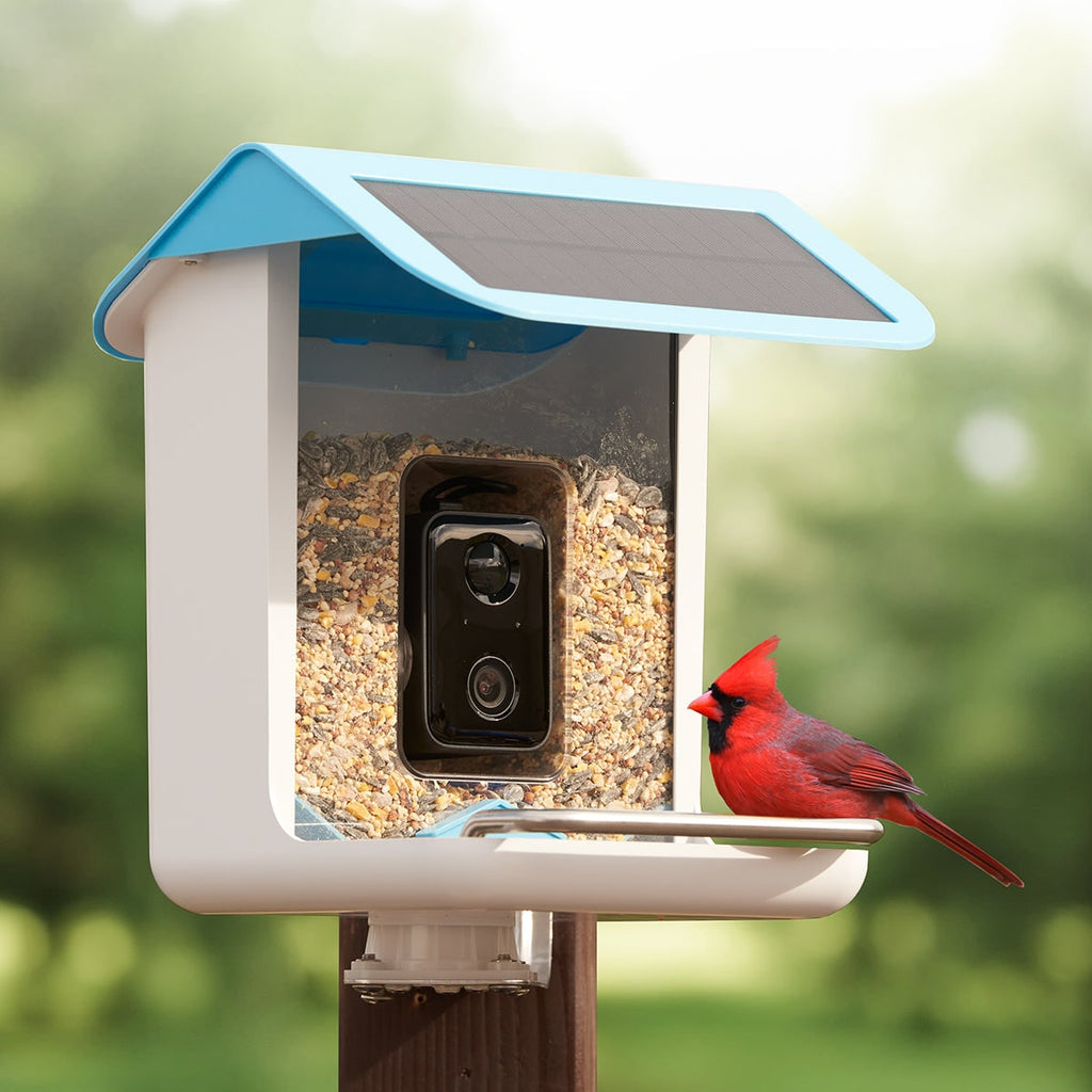 Smart Bird Feeder Camera Solar Powered Wireless Waterproof Outdoor Wifi - Image 3