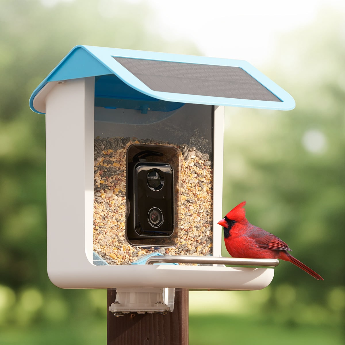 Smart Bird Feeder Camera Solar Powered Wireless Waterproof Outdoor Wifi - Image 3
