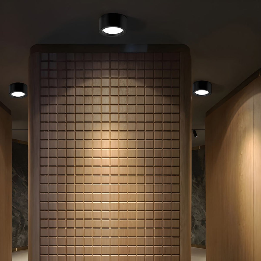Surface Mount Downlight LED Cylindrical Metal Frosted Diffuser - Image 10
