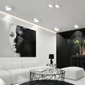 Surface Mount Downlight LED Cylindrical Metal Frosted Diffuser - Image 3