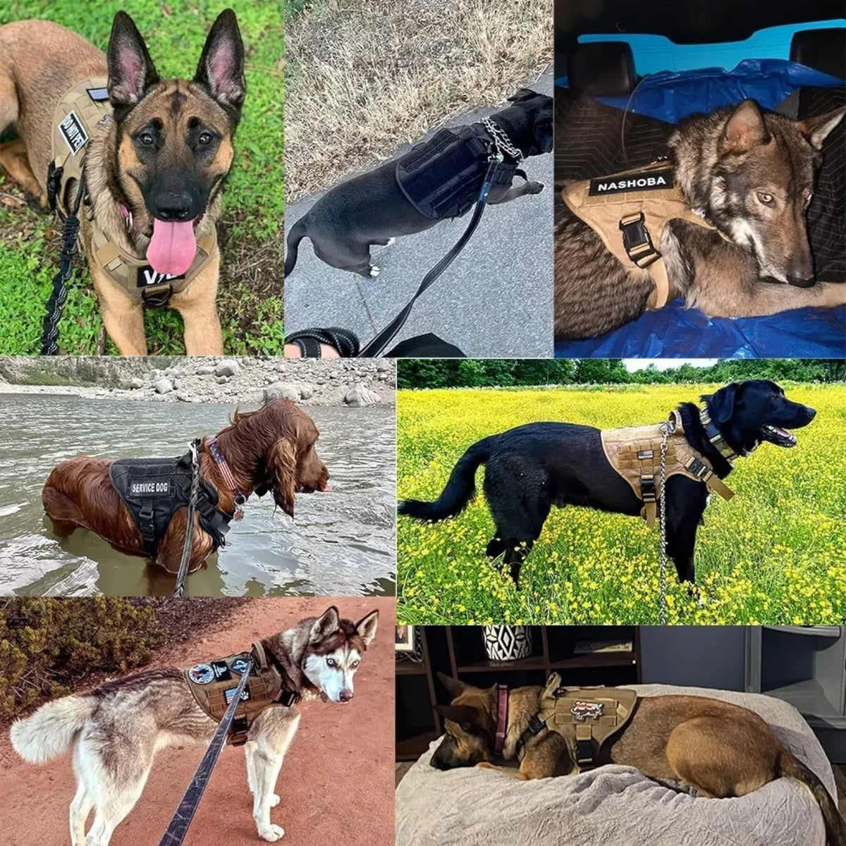 Tactical Dog Harness with No Pull Front Clip Handle and Quick-Release Buckles for Training - Image 6