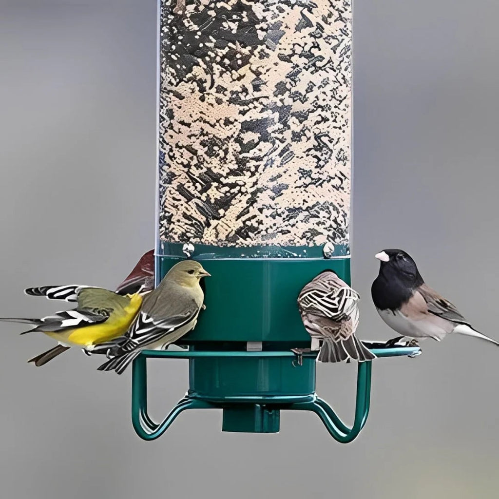 Tube Bird Feeder with Weight-Activated Spinning Perch Squirrel Proof Guard Cardinal - Image 5