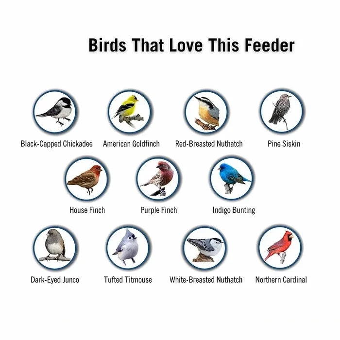 Tube Bird Feeder with Weight-Activated Spinning Perch Squirrel Proof Guard Cardinal - Image 6