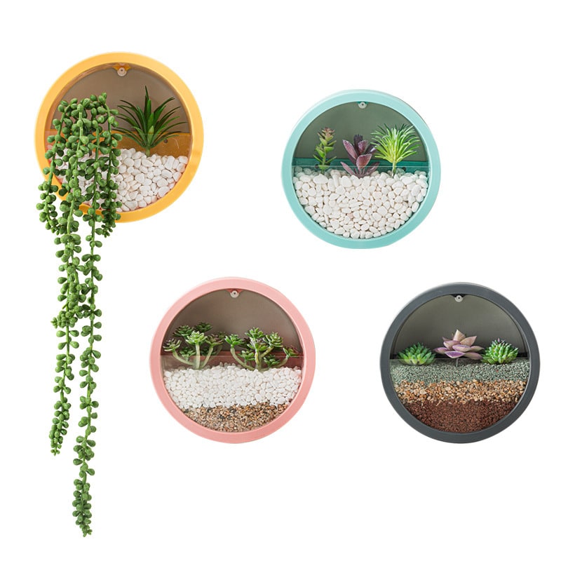Wall Mounted Planter with Hanging and Succulent Plant Holder Pots - Image 1