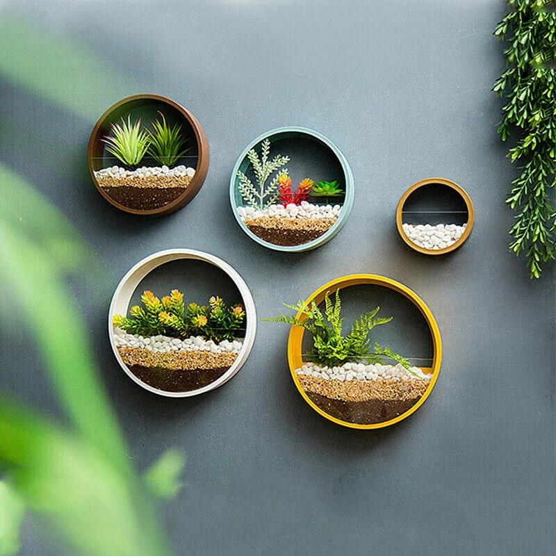 Wall Mounted Planter with Hanging and Succulent Plant Holder Pots - Image 5