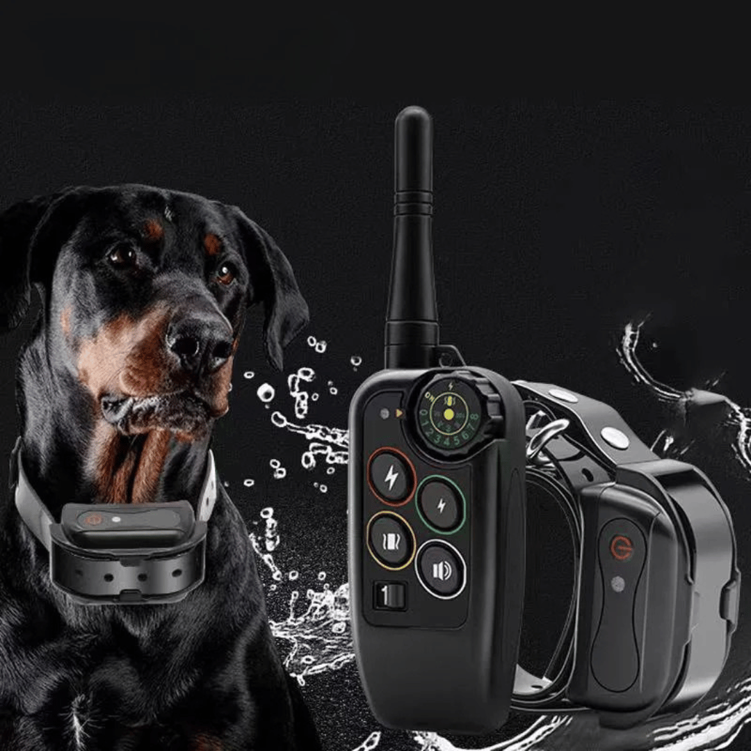 Waterproof Dog Training Collar with Remote Shock and Vibration Control - Image 2