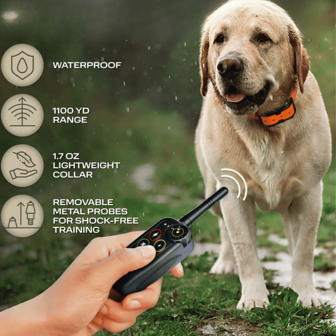 Waterproof Dog Training Collar with Remote Shock and Vibration Control - Image 5