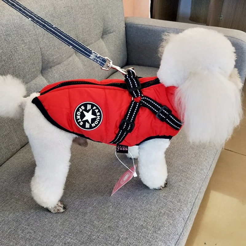 Winter Dog Coat with Harness and Jacket for Waterproof Padded Fleece Vest - Image 10