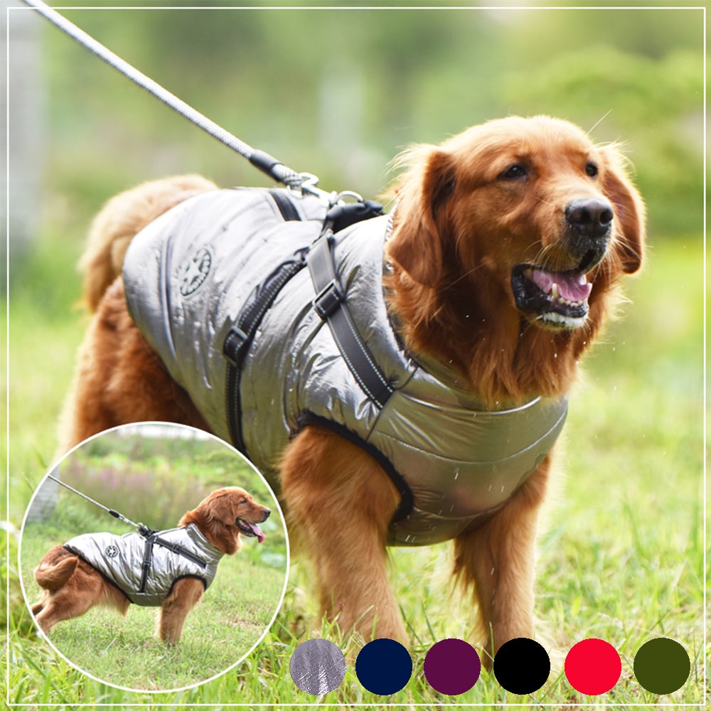 Winter Dog Coat with Harness and Jacket for Waterproof Padded Fleece Vest - Image 13
