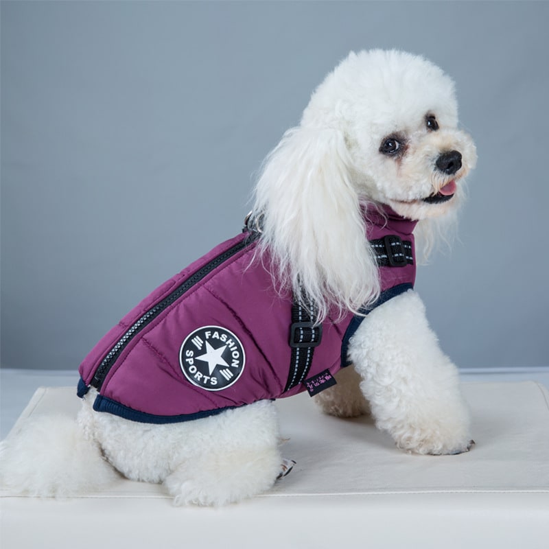 Winter Dog Coat with Harness and Jacket for Waterproof Padded Fleece Vest - Image 8